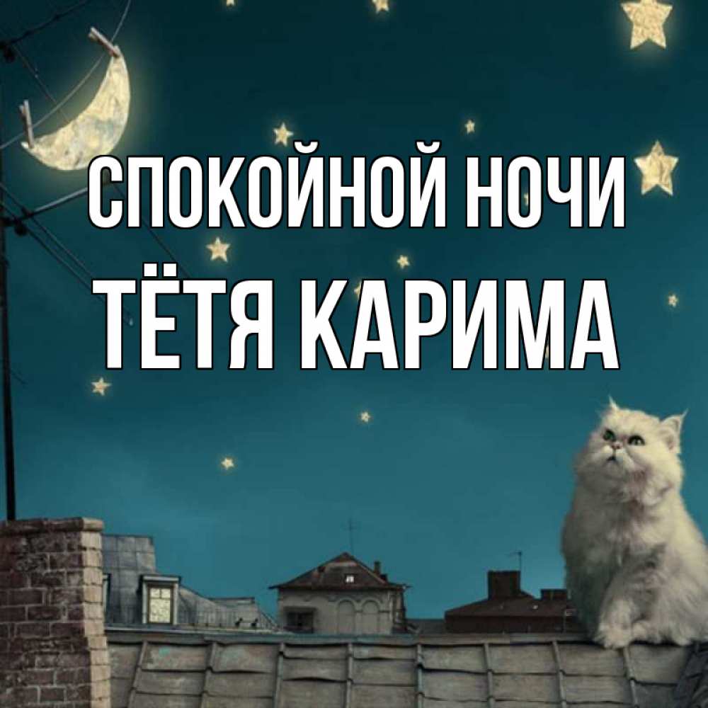 Открытка на каждый день с именем, Тётя-Карима Спокойной ночи белый кот сидит на крыше Прикольная открытка с пожеланием онлайн скачать бесплатно 