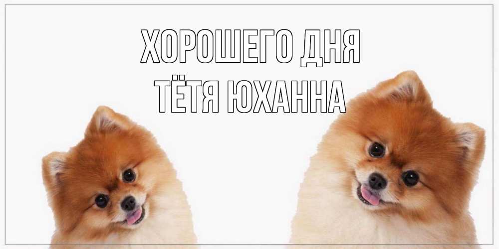 Открытка на каждый день с именем, Тётя-Юханна Хорошего дня собачки желают прекрасного дня Прикольная открытка с пожеланием онлайн скачать бесплатно 