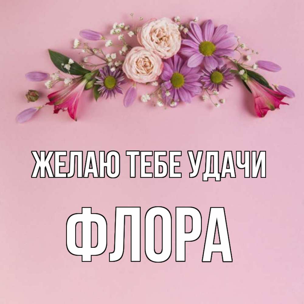 Открытка на каждый день с именем, Флора Желаю тебе удачи розовый фон Прикольная открытка с пожеланием онлайн скачать бесплатно 