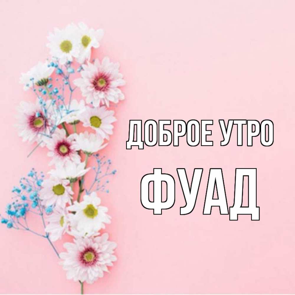Открытка на каждый день с именем, Фуад Доброе утро цветы с подписью Прикольная открытка с пожеланием онлайн скачать бесплатно 