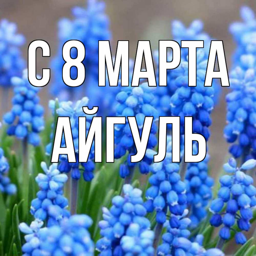 Открытка на каждый день с именем, Айгуль С 8 МАРТА Поздравительная открытка для женщин с цветами на праздничную дату Прикольная открытка с пожеланием онлайн скачать бесплатно 