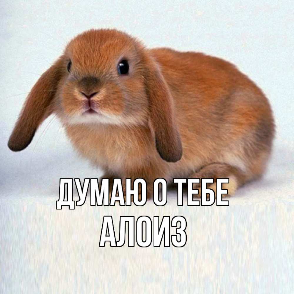 Открытка на каждый день с именем, Алоиз Думаю о тебе кроль коричневый Прикольная открытка с пожеланием онлайн скачать бесплатно 