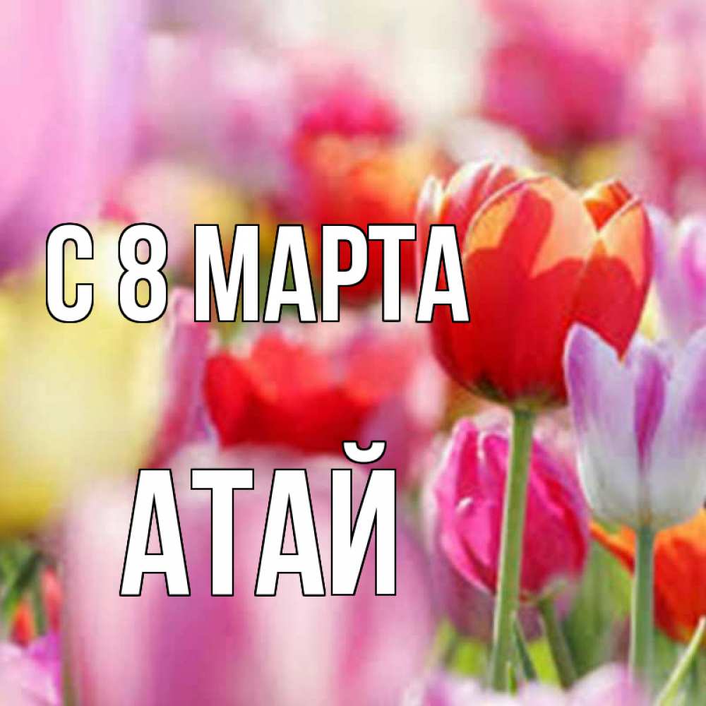 Картинка С 8 МАРТА, Атай