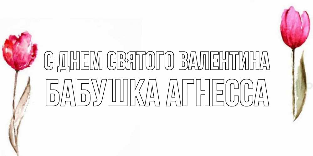 Открытка на каждый день с именем, Бабушка-Агнесса С днем Святого Валентина Открытки на день всех влюбленных с тюльпанами акварелью Прикольная открытка с пожеланием онлайн скачать бесплатно 