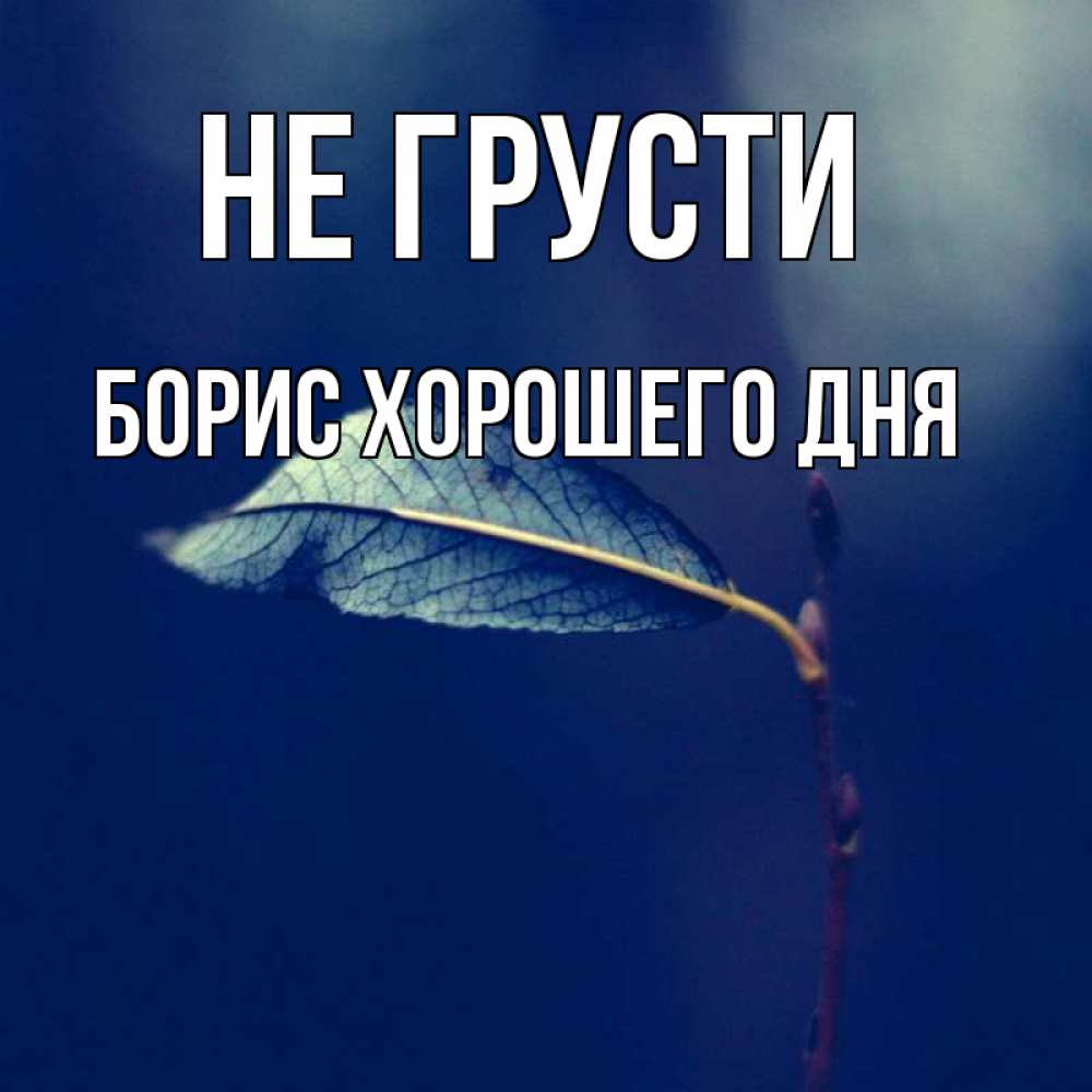Открытка на каждый день с именем, Борис-хорошего-дня Не грусти растение Прикольная открытка с пожеланием онлайн скачать бесплатно 