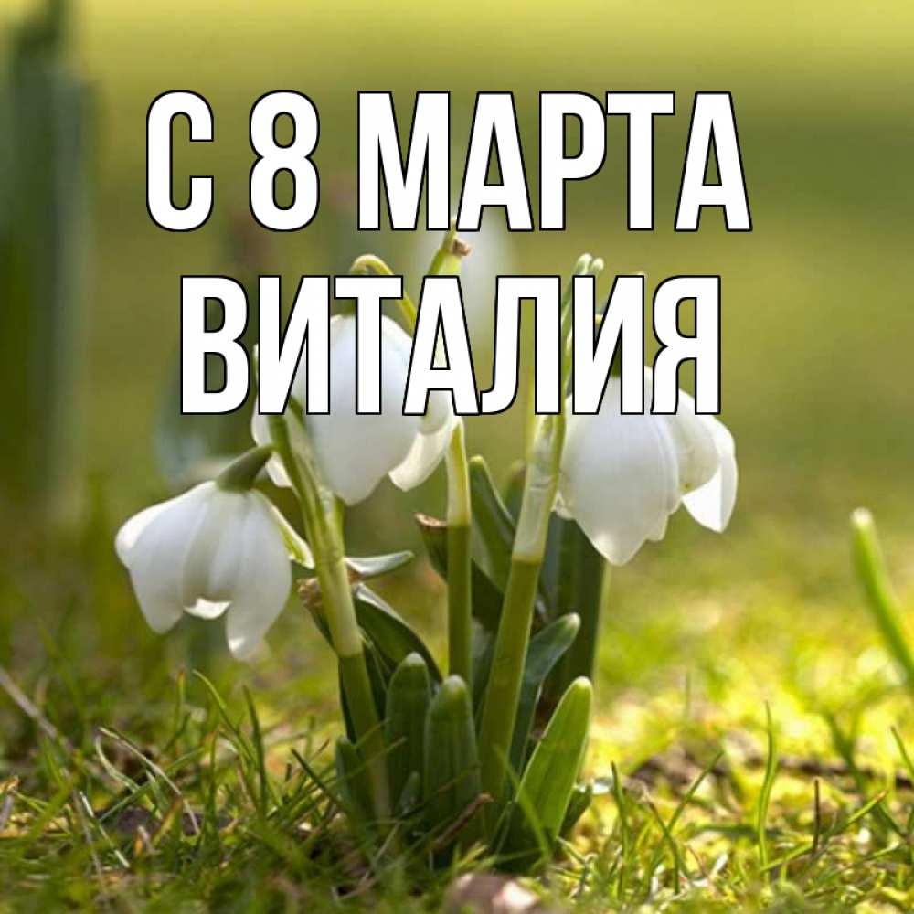 Открытка на каждый день с именем, Виталия С 8 МАРТА ранние цветы 2 Прикольная открытка с пожеланием онлайн скачать бесплатно 