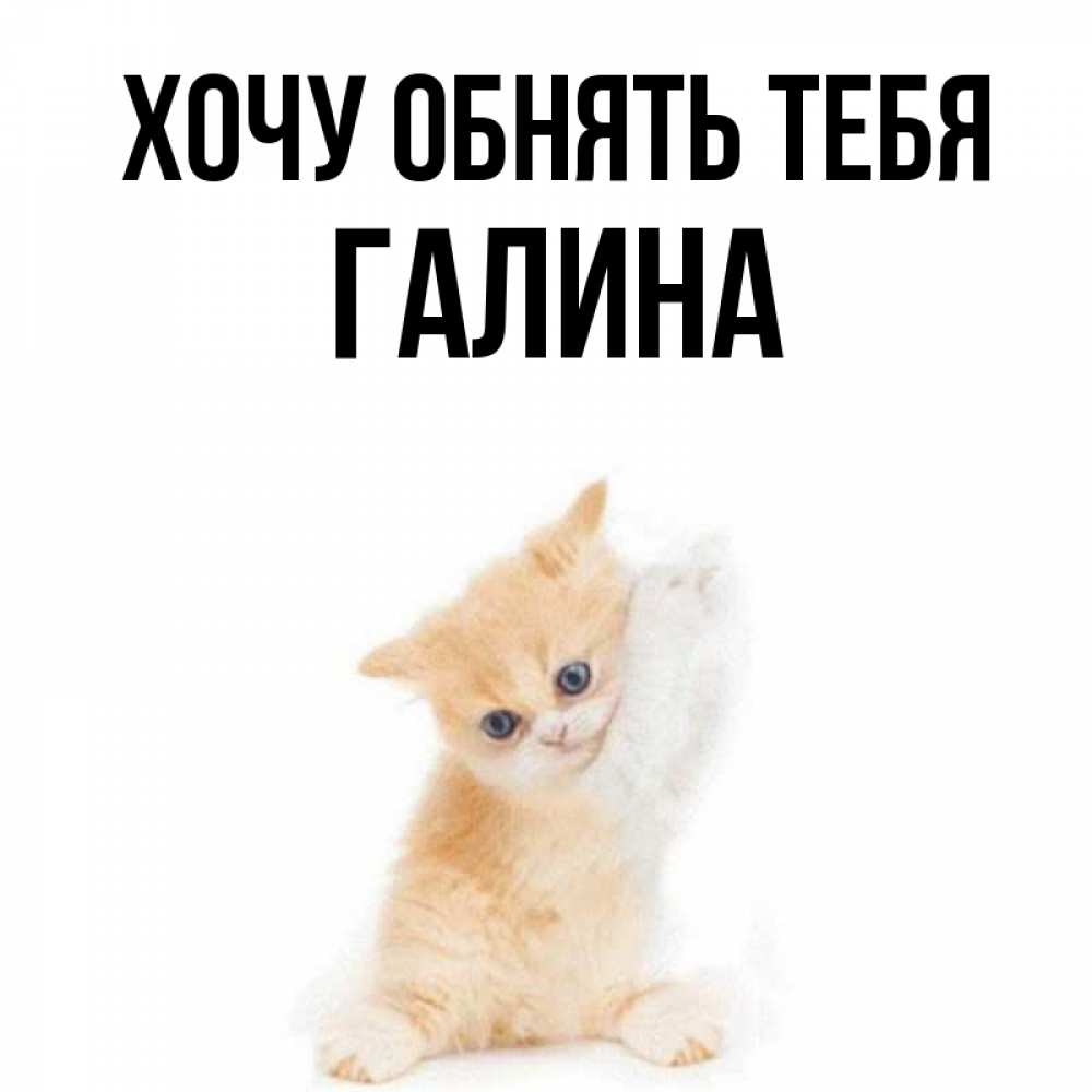 Открытка на каждый день с именем, Галина Хочу обнять тебя я хочу очень скорее обнимаешек Прикольная открытка с пожеланием онлайн скачать бесплатно 