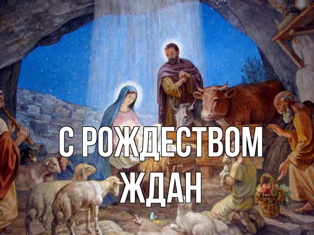 Открытка на каждый день с именем, Ждан С рождеством Хлев с животными, Иисус, рождество Прикольная открытка с пожеланием онлайн скачать бесплатно 