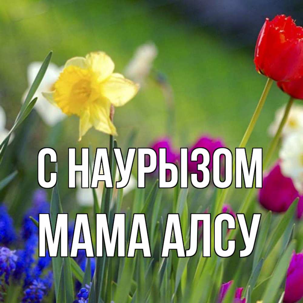 Открытка на каждый день с именем, Мама-Алсу С наурызом праздник весны наурыз 3 Прикольная открытка с пожеланием онлайн скачать бесплатно 