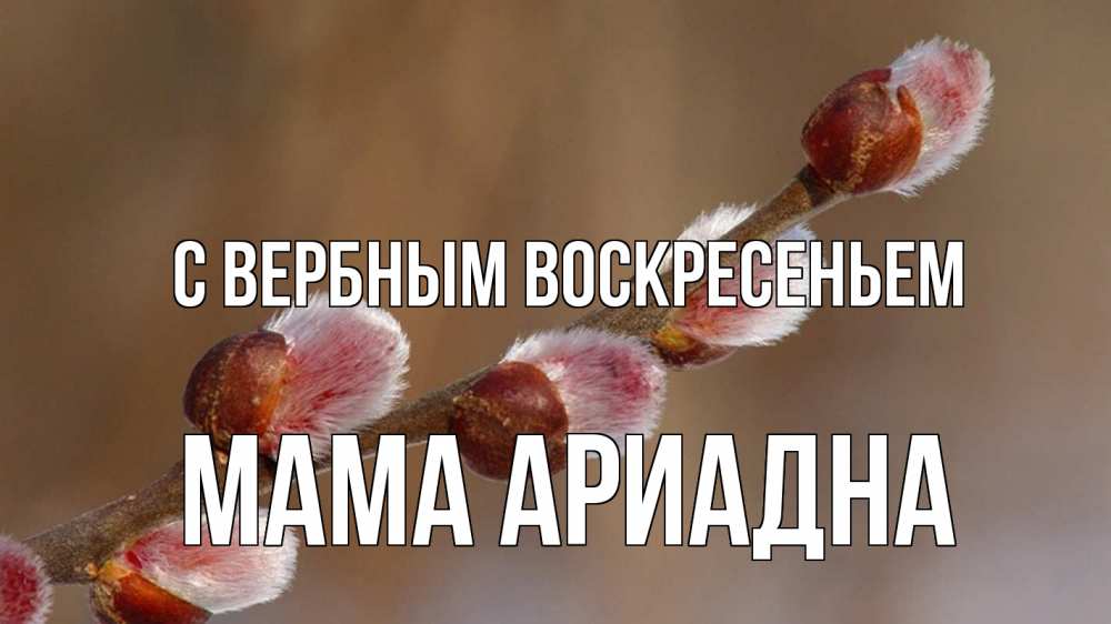 Открытка на каждый день с именем, Мама-Ариадна С вербным воскресеньем верба Прикольная открытка с пожеланием онлайн скачать бесплатно 