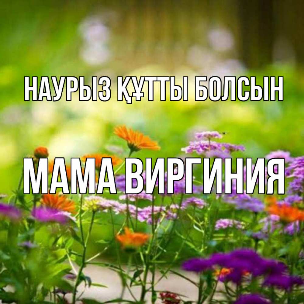 Открытка на каждый день с именем, Мама-Виргиния Наурыз құтты болсын цветы Прикольная открытка с пожеланием онлайн скачать бесплатно 