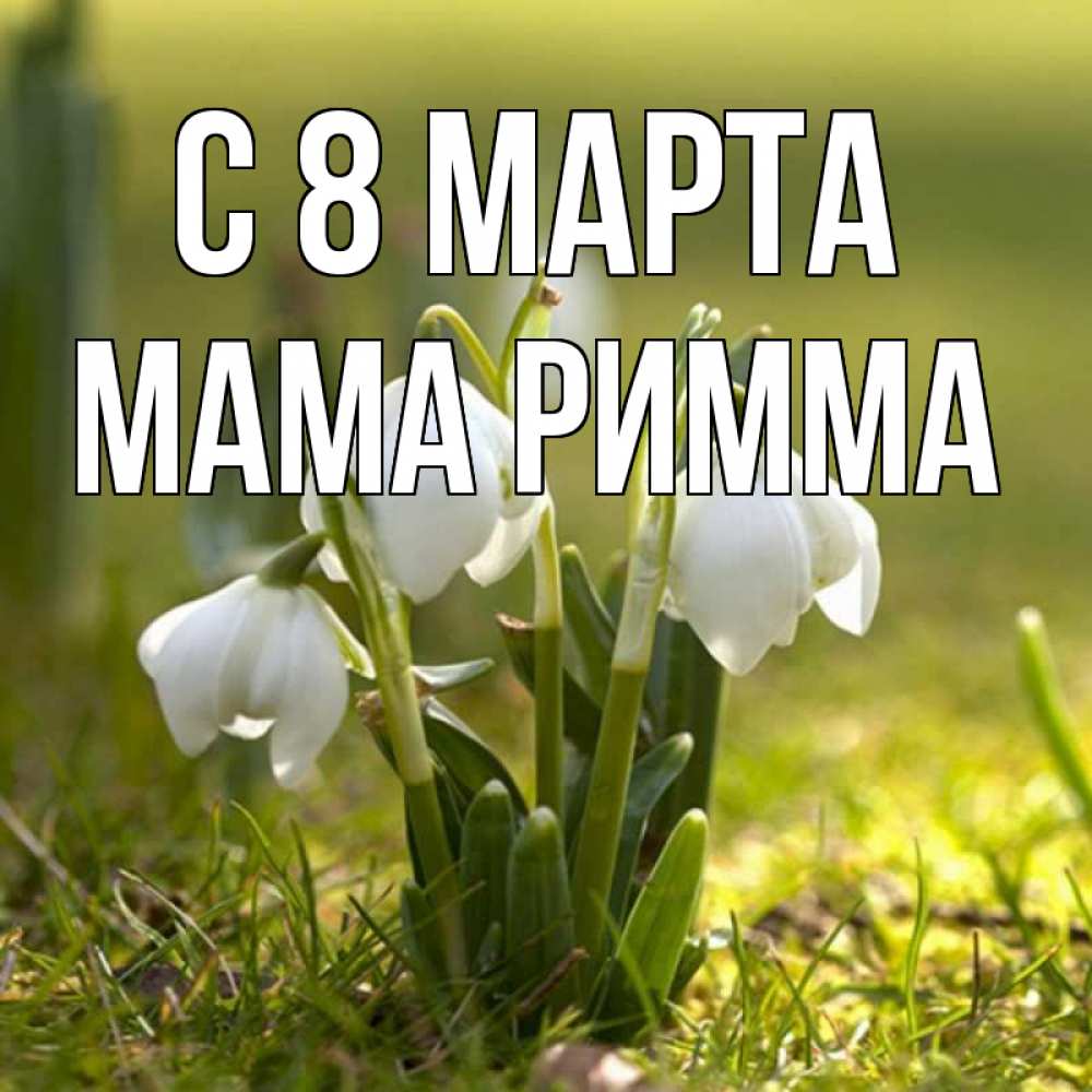 Открытка на каждый день с именем, Мама-Римма С 8 марта ранние цветы 2 Прикольная открытка с пожеланием онлайн скачать бесплатно 