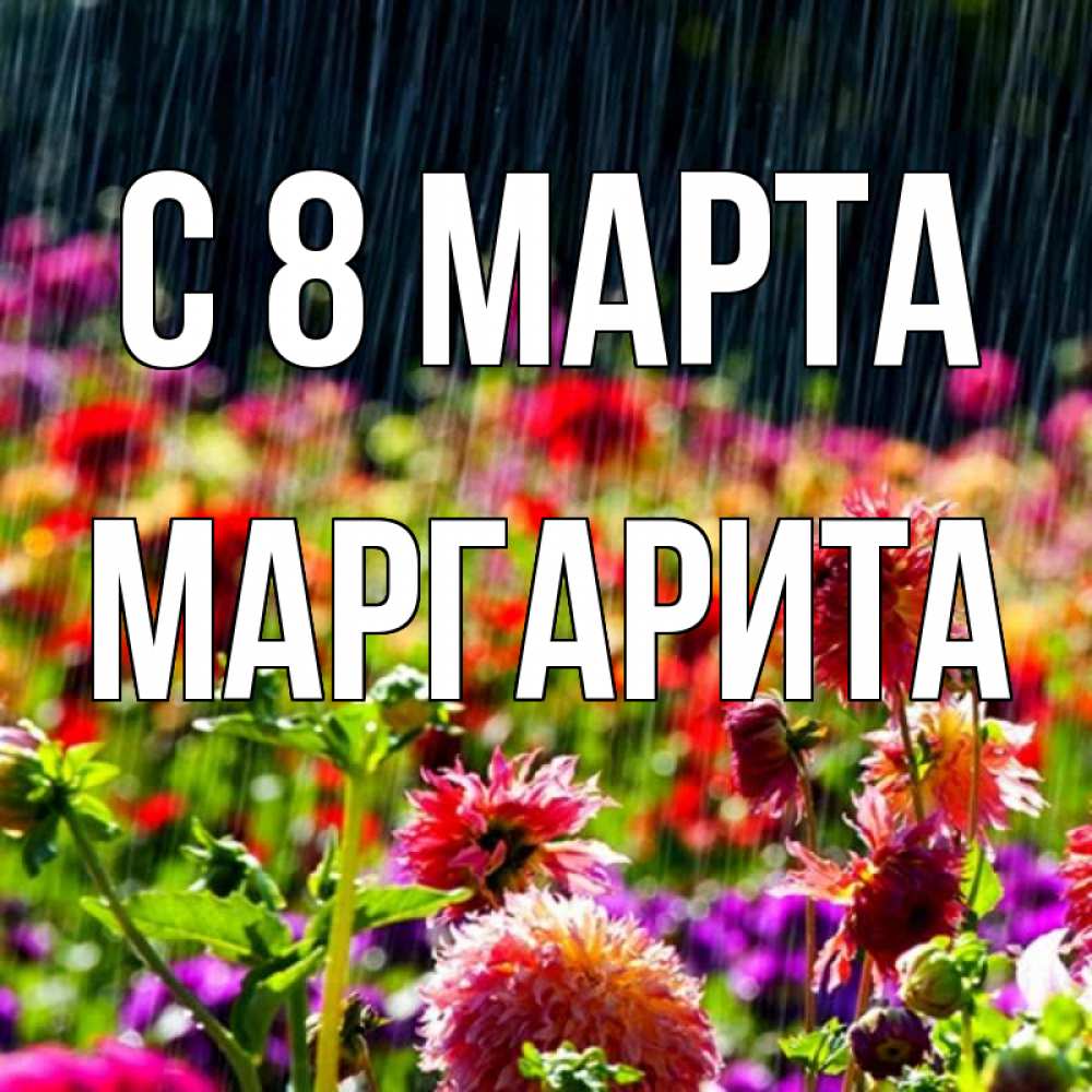 Открытка на каждый день с именем, Маргарита С 8 марта цветы под дождиком к международному женскому дню Прикольная открытка с пожеланием онлайн скачать бесплатно 