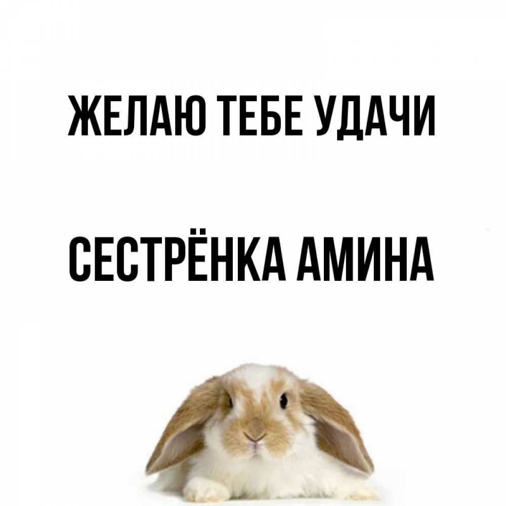 Открытка на каждый день с именем, Сестрёнка-Амина Желаю тебе удачи открытки с произвольным текстом который можно вставить в открытку и создать ее самостоятельно бесплатно онлайн Прикольная открытка с пожеланием онлайн скачать бесплатно 