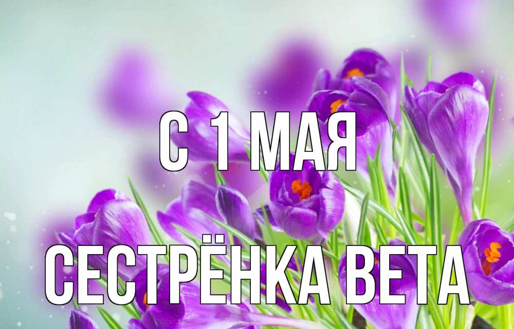 Открытка на каждый день с именем, Сестрёнка-Вета С 1 мая 1 мая Прикольная открытка с пожеланием онлайн скачать бесплатно 