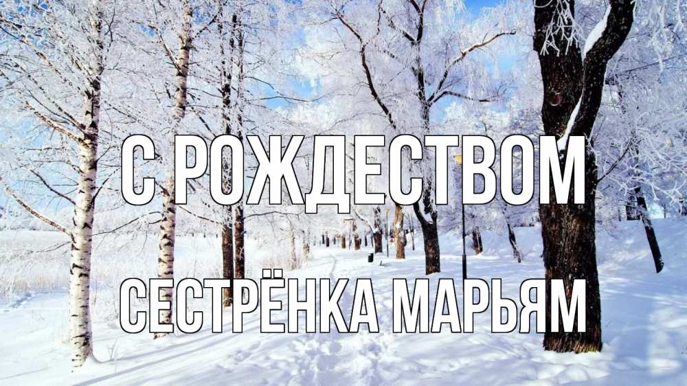 Открытка на каждый день с именем, Сестрёнка-Марьям С рождеством зимний лес Прикольная открытка с пожеланием онлайн скачать бесплатно 