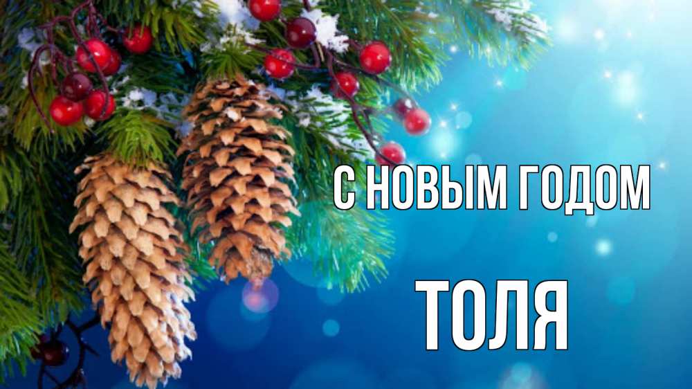 Открытка на каждый день с именем, Толя С новым годом Новый год, ель, шишки Прикольная открытка с пожеланием онлайн скачать бесплатно 