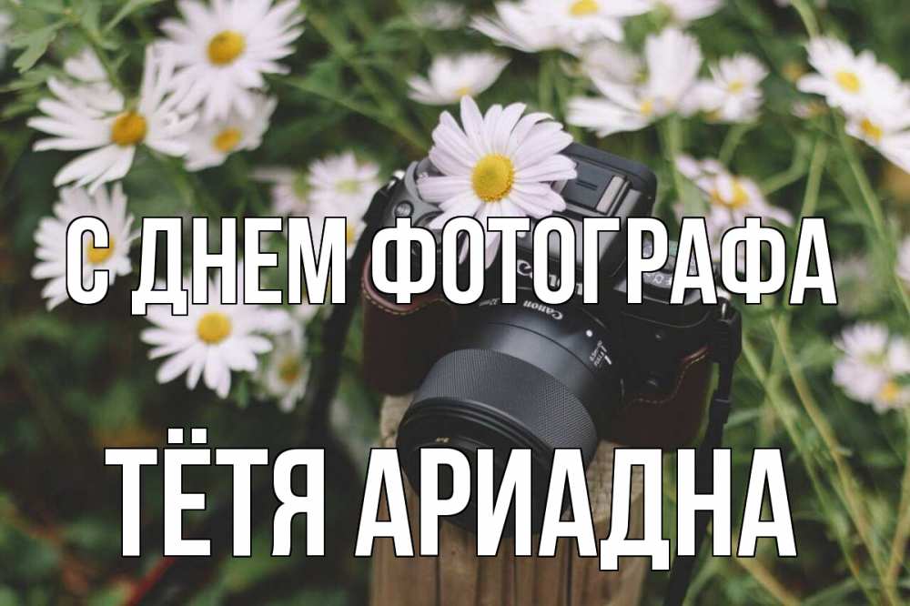 Открытка на каждый день с именем, Тётя-Ариадна С днем фотографа с днем фотографа Прикольная открытка с пожеланием онлайн скачать бесплатно 