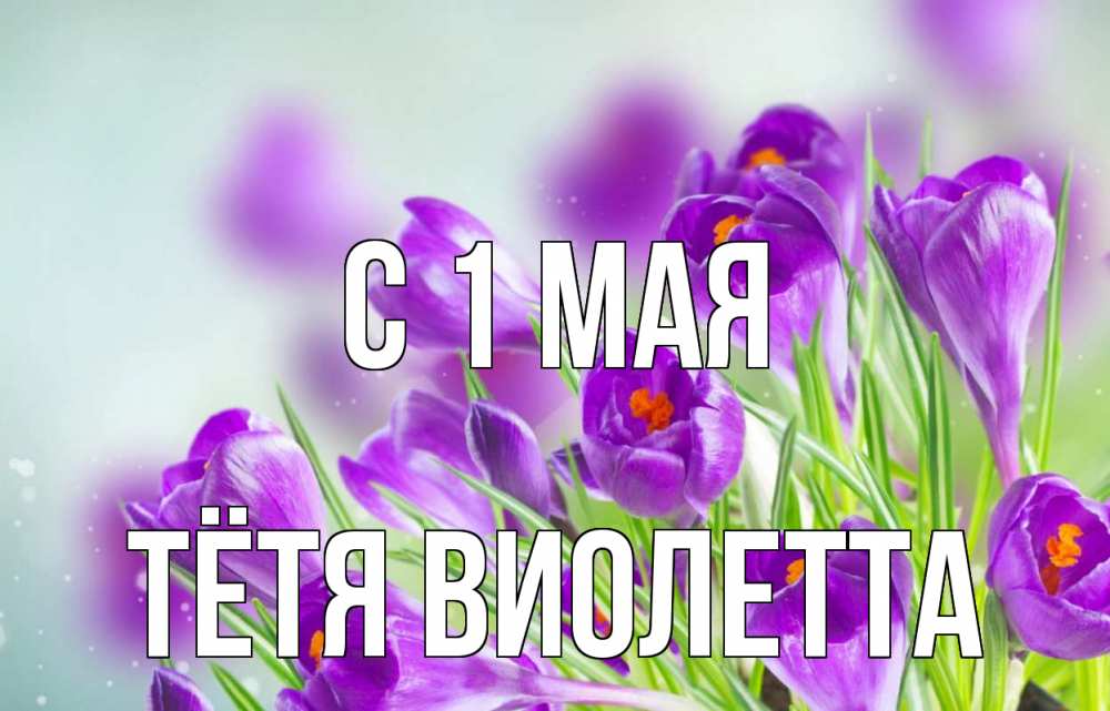Открытка на каждый день с именем, Тётя-Виолетта С 1 мая 1 мая Прикольная открытка с пожеланием онлайн скачать бесплатно 