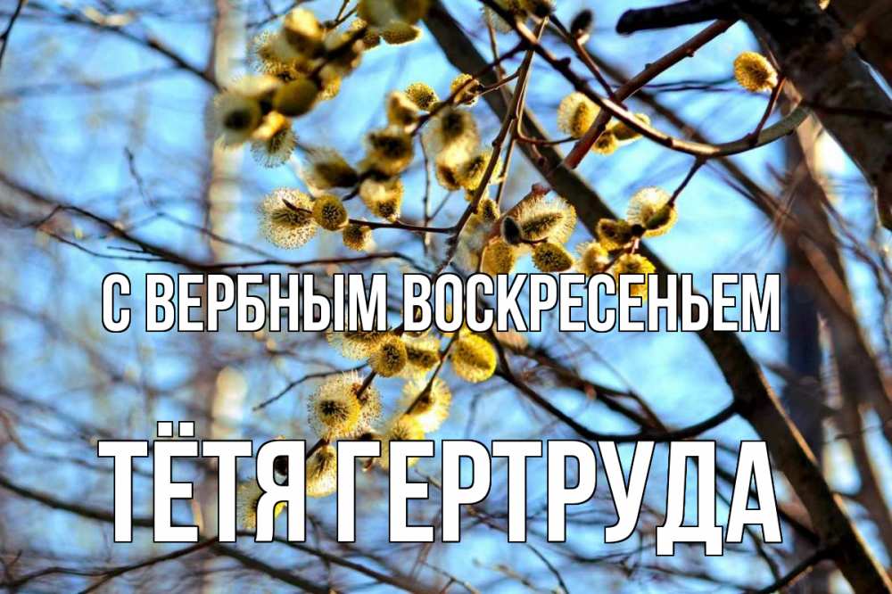 Открытка на каждый день с именем, Тётя-Гертруда С вербным воскресеньем верба Прикольная открытка с пожеланием онлайн скачать бесплатно 