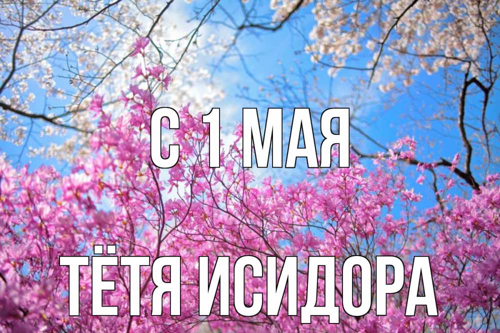 Открытка на каждый день с именем, Тётя-Исидора С 1 мая С 1 мая Прикольная открытка с пожеланием онлайн скачать бесплатно 