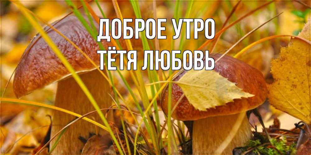 Открытка на каждый день с именем, Тётя-Любовь Доброе утро осенние грибы Прикольная открытка с пожеланием онлайн скачать бесплатно 