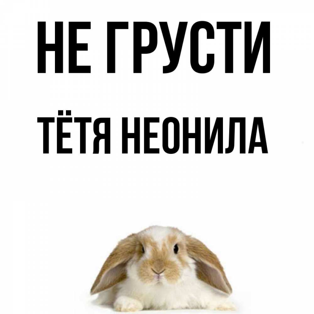 Открытка на каждый день с именем, Тётя-Неонила Не грусти коричнево белый заяц с большими ушками Прикольная открытка с пожеланием онлайн скачать бесплатно 
