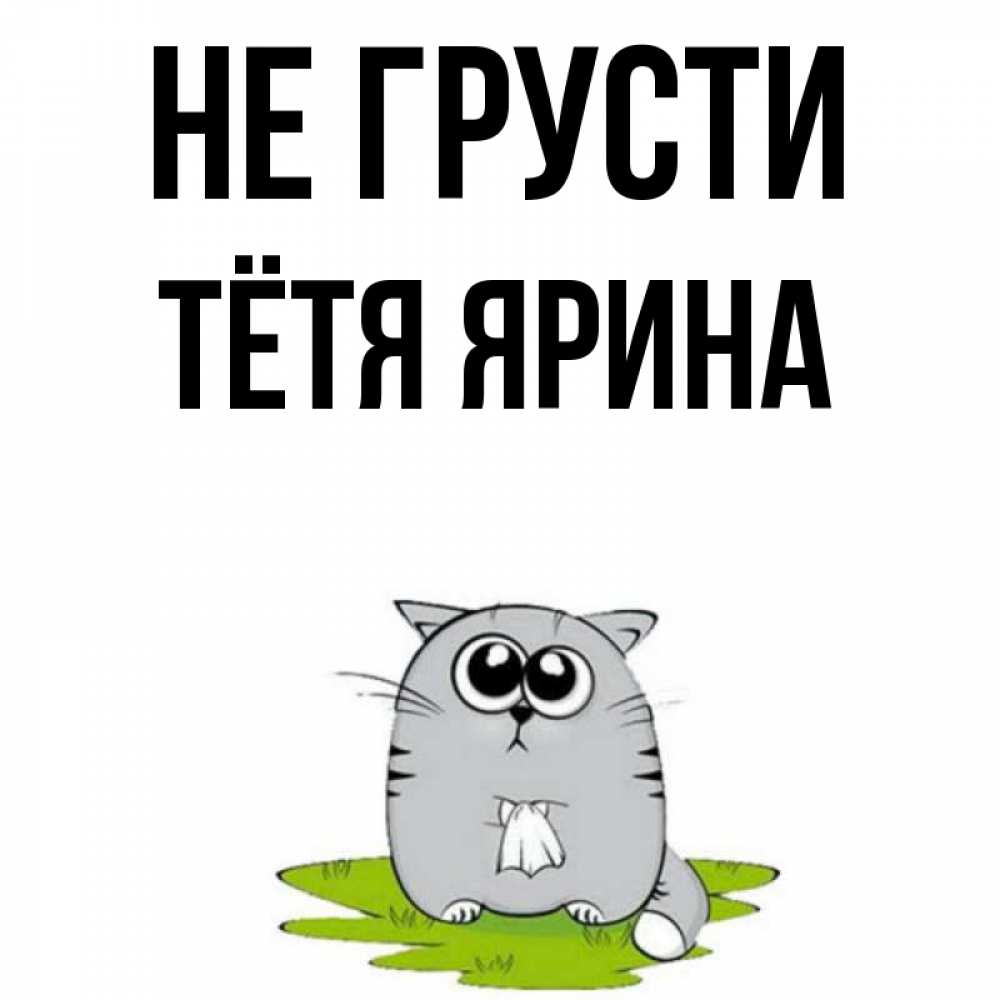 Открытка на каждый день с именем, Тётя-Ярина Не грусти грустный котяра Прикольная открытка с пожеланием онлайн скачать бесплатно 