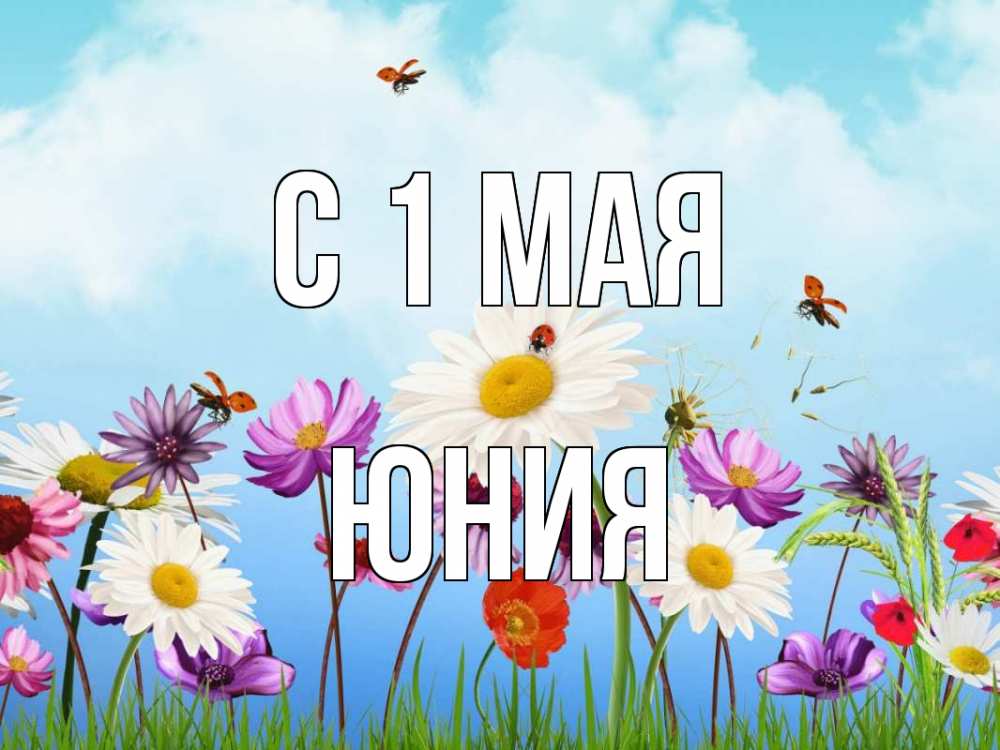 Открытка на каждый день с именем, Юния С 1 мая С 1 мая Прикольная открытка с пожеланием онлайн скачать бесплатно 