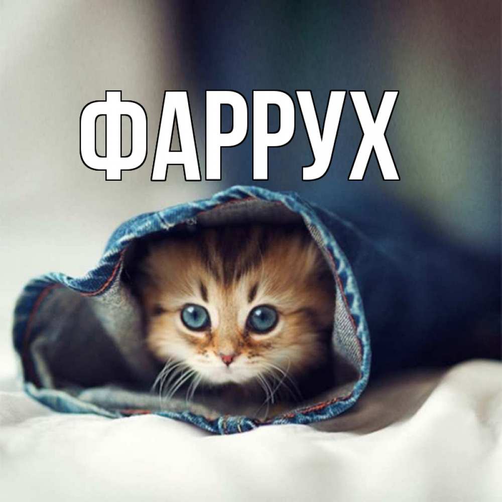 Картинка  с именем , Фаррух