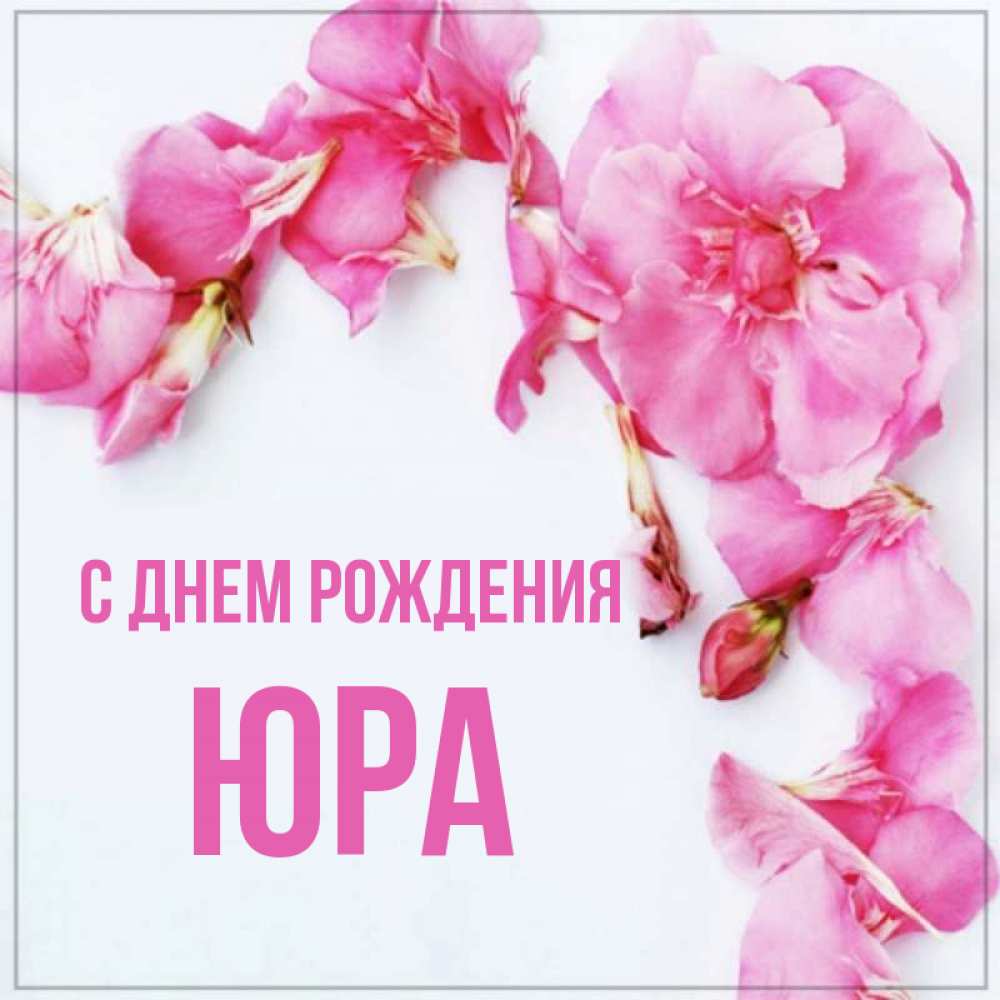 С днем рождения лола в картинках