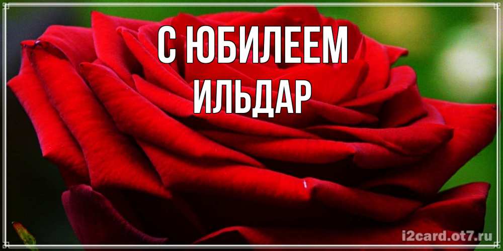 Открытка на каждый день с именем, Ильдар С юбилеем розочка очень красивая Прикольная открытка с пожеланием онлайн скачать бесплатно 