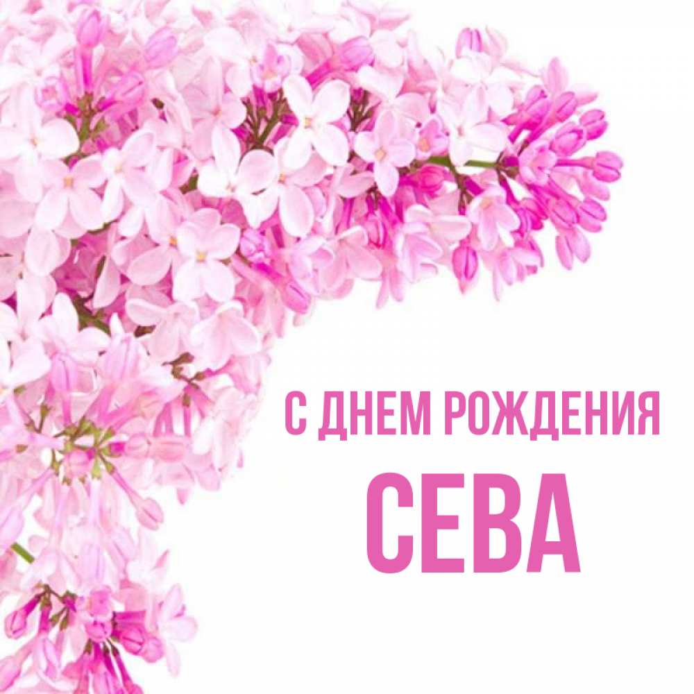 С днем рождения сева картинки