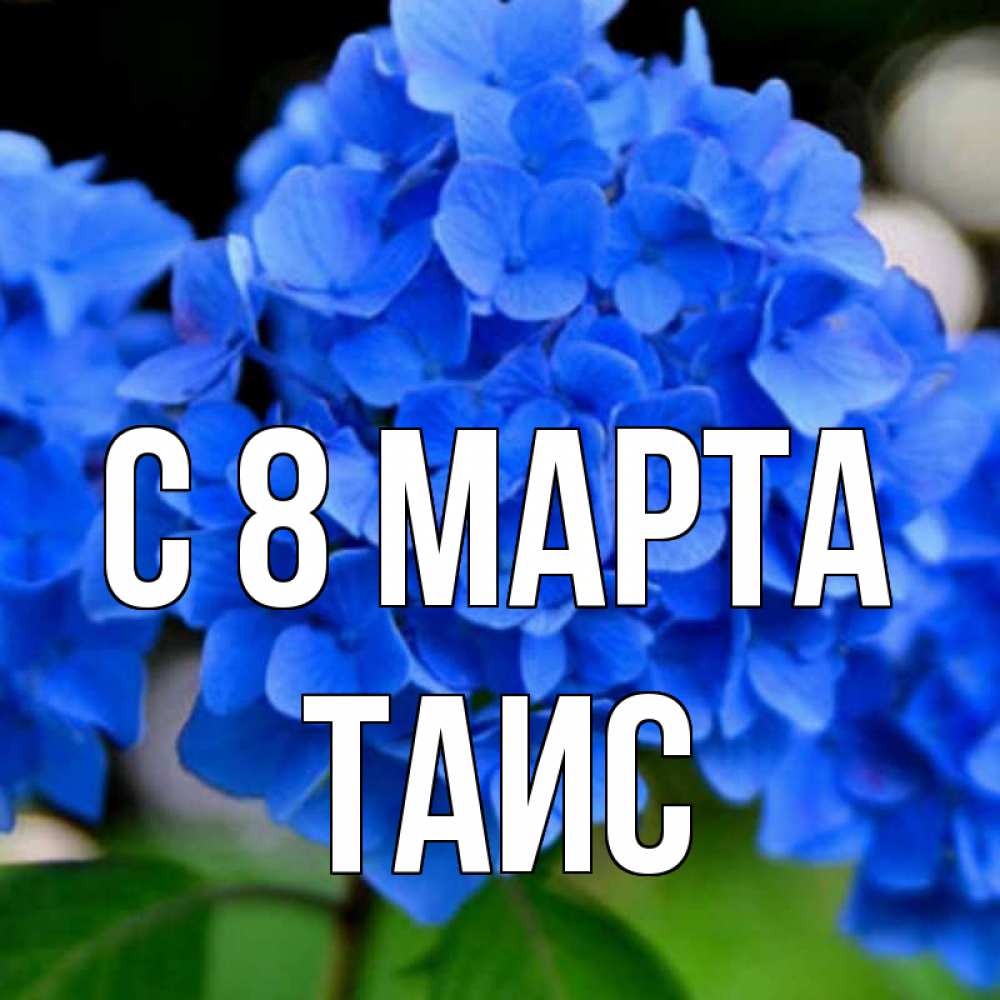 Открытка на каждый день с именем, Таис С 8 марта синие цветы Прикольная открытка с пожеланием онлайн скачать бесплатно 