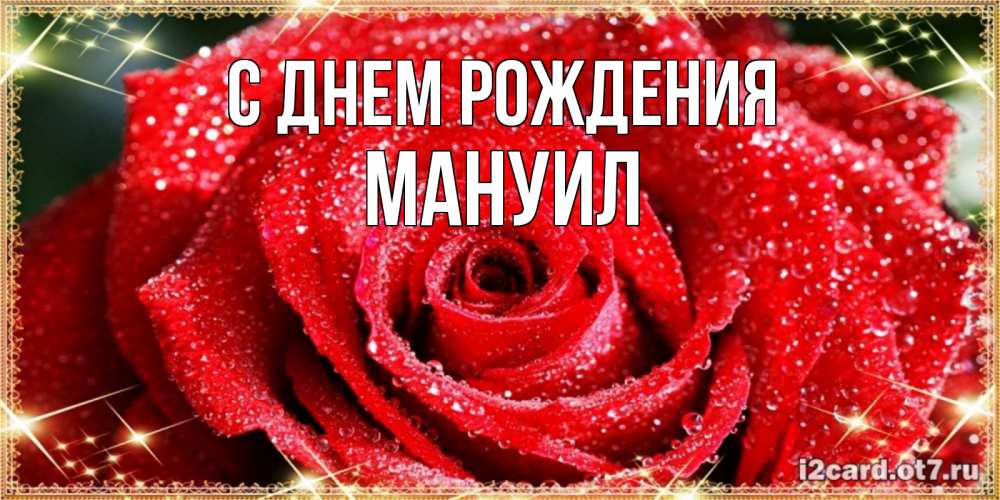 Открытка на каждый день с именем, Мануил С днем рождения роса и роза. открытка с красивой розой Прикольная открытка с пожеланием онлайн скачать бесплатно 