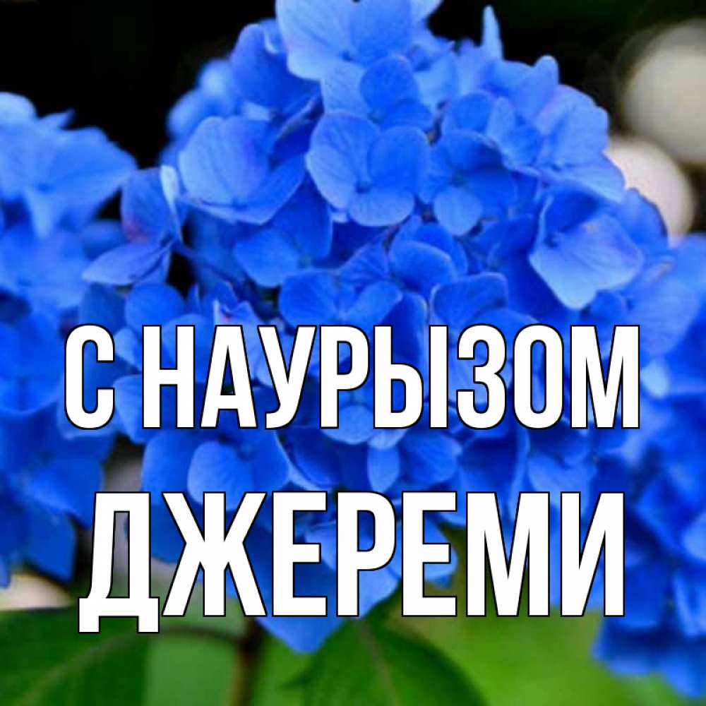 Открытка на каждый день с именем, Джереми С наурызом синие цветы Прикольная открытка с пожеланием онлайн скачать бесплатно 