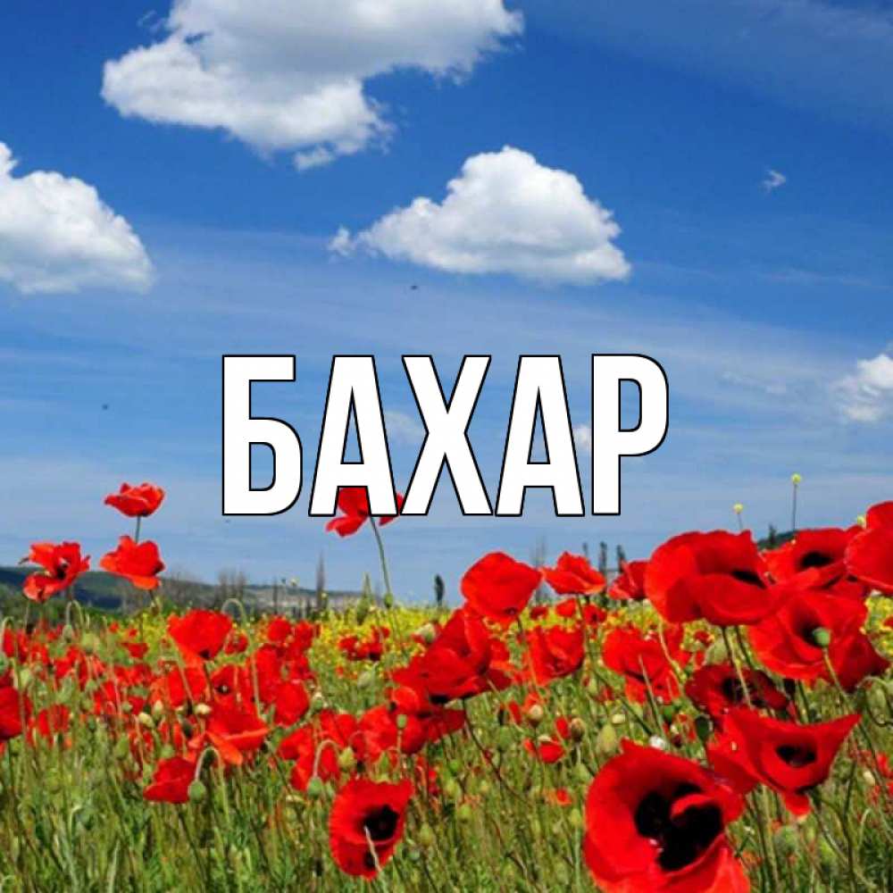 Открытка на каждый день с именем, Бахар Главная праздник весны наурыз очень красивая картинка Прикольная открытка с пожеланием онлайн скачать бесплатно 