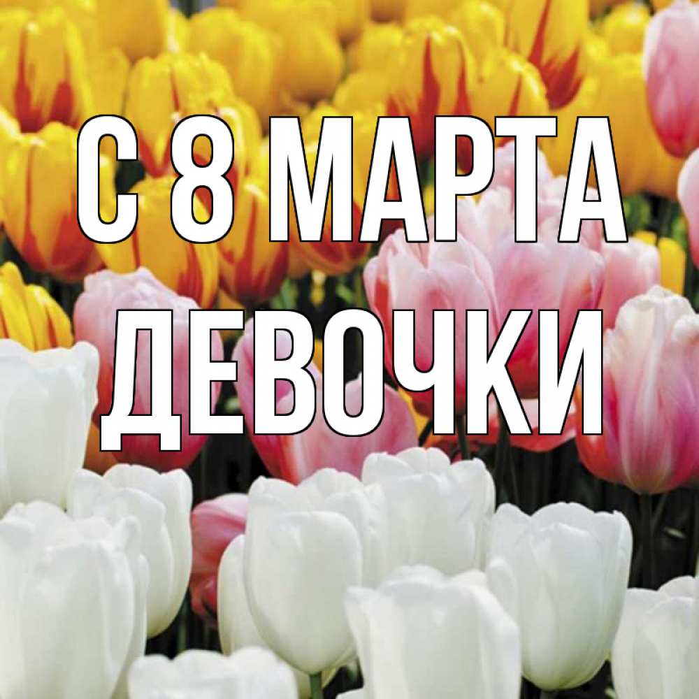 Открытка на каждый день с именем, ДЕВОЧКИ С 8 МАРТА разноцветные цветы Прикольная открытка с пожеланием онлайн скачать бесплатно 