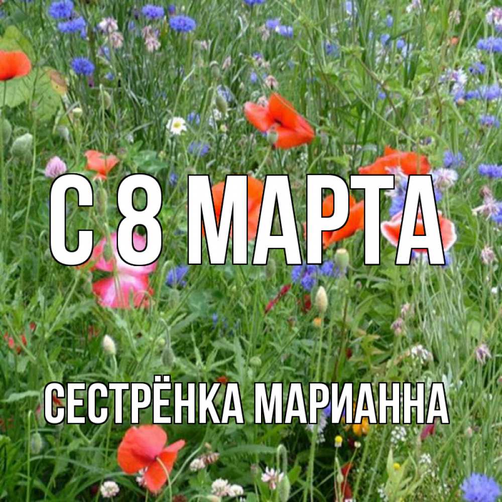 Открытка на каждый день с именем, Сестрёнка-Марианна С 8 МАРТА международный женский день 4 Прикольная открытка с пожеланием онлайн скачать бесплатно 