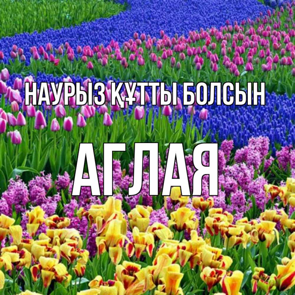Открытка на каждый день с именем, Аглая Наурыз құтты болсын цветы Прикольная открытка с пожеланием онлайн скачать бесплатно 