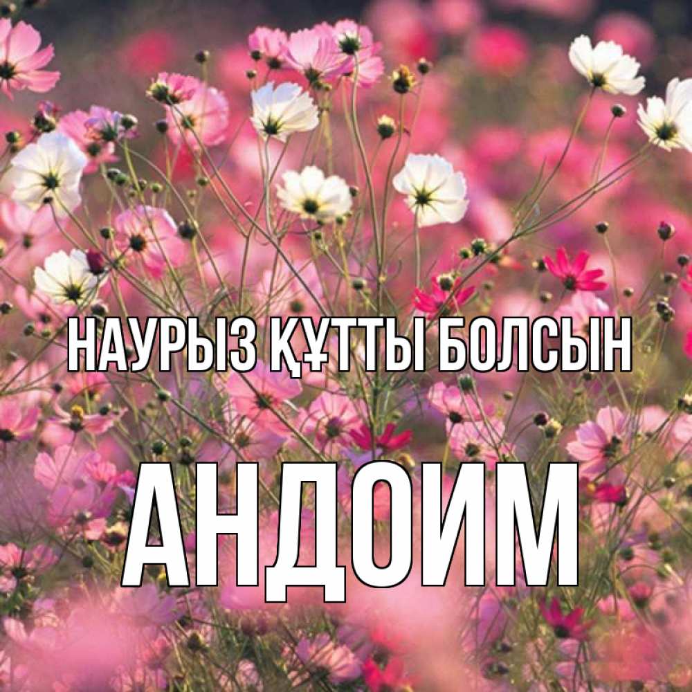 Открытка на каждый день с именем, Андоим Наурыз құтты болсын красиво 1 Прикольная открытка с пожеланием онлайн скачать бесплатно 