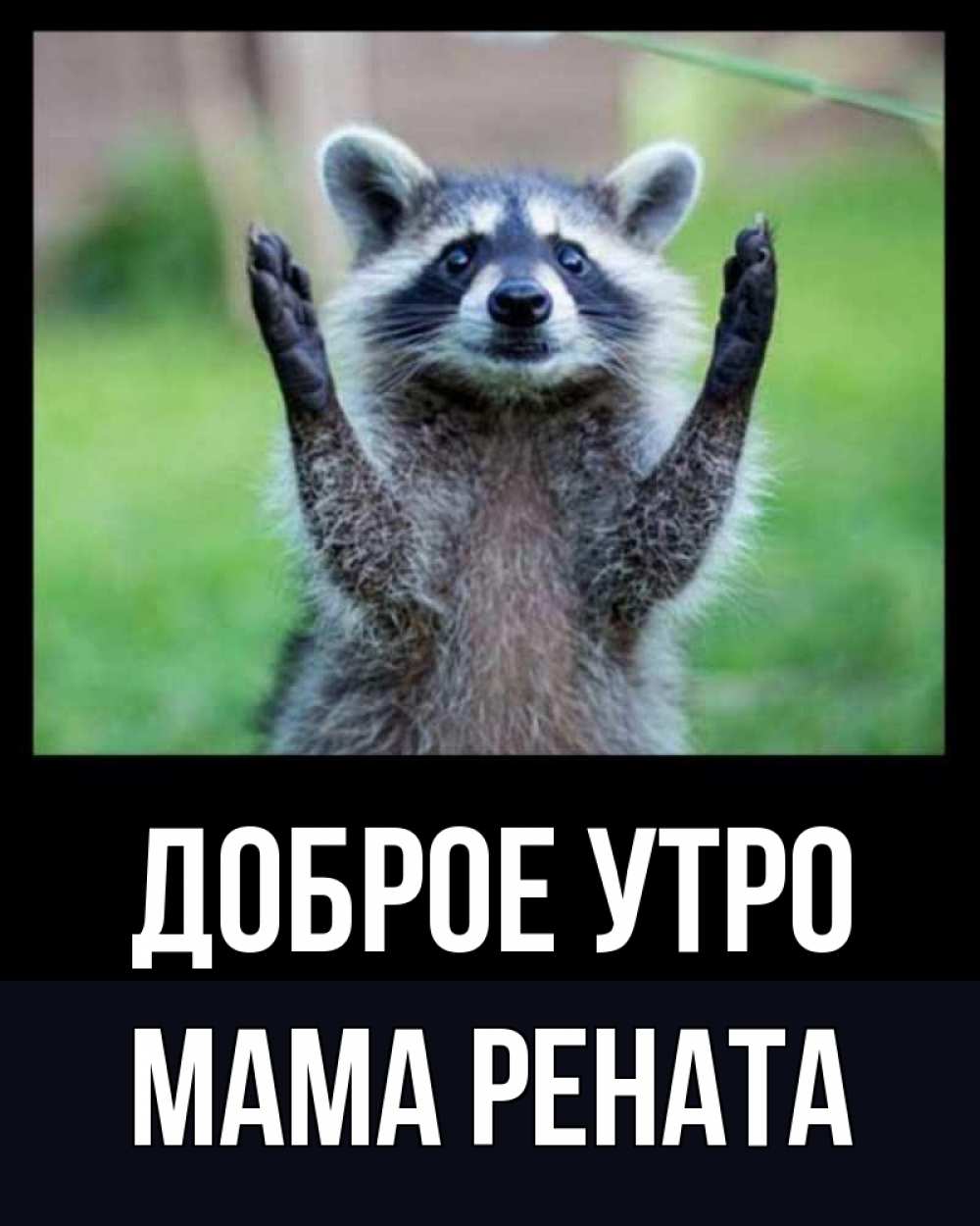 Открытка на каждый день с именем, Мама-Рената Доброе утро хорошее настроение утречком Прикольная открытка с пожеланием онлайн скачать бесплатно 