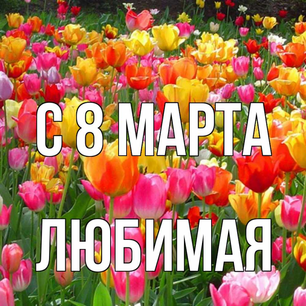 Открытка на каждый день с именем, любимая С 8 МАРТА на международный женский день Прикольная открытка с пожеланием онлайн скачать бесплатно 