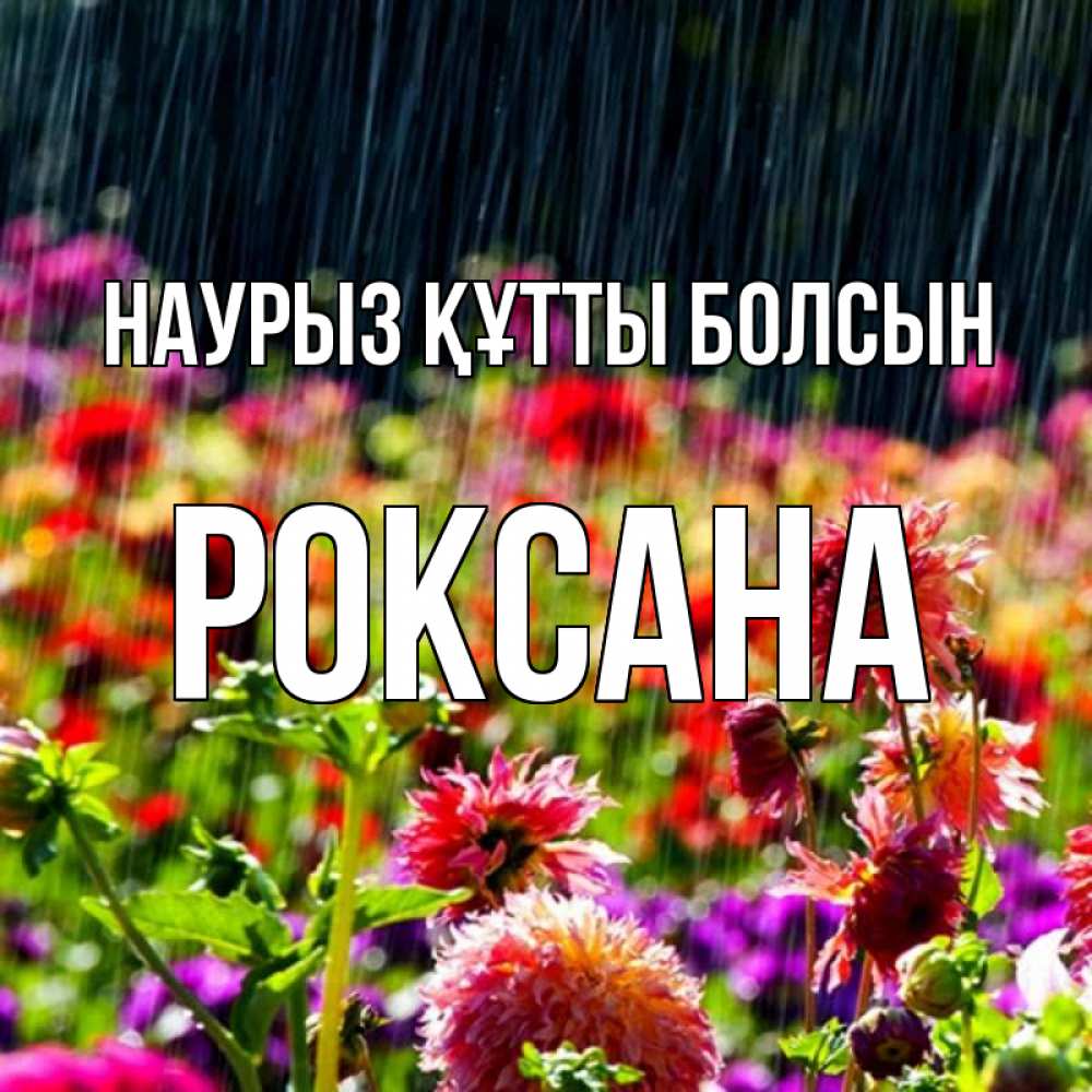 Открытка на каждый день с именем, Роксана Наурыз құтты болсын цветы под дождиком к наурызу Прикольная открытка с пожеланием онлайн скачать бесплатно 
