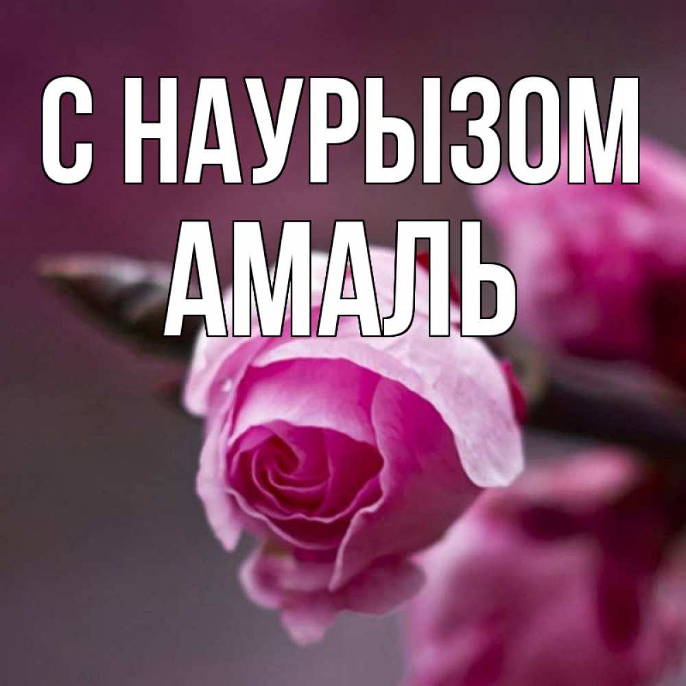 Открытка на каждый день с именем, Амаль С наурызом весна Прикольная открытка с пожеланием онлайн скачать бесплатно 