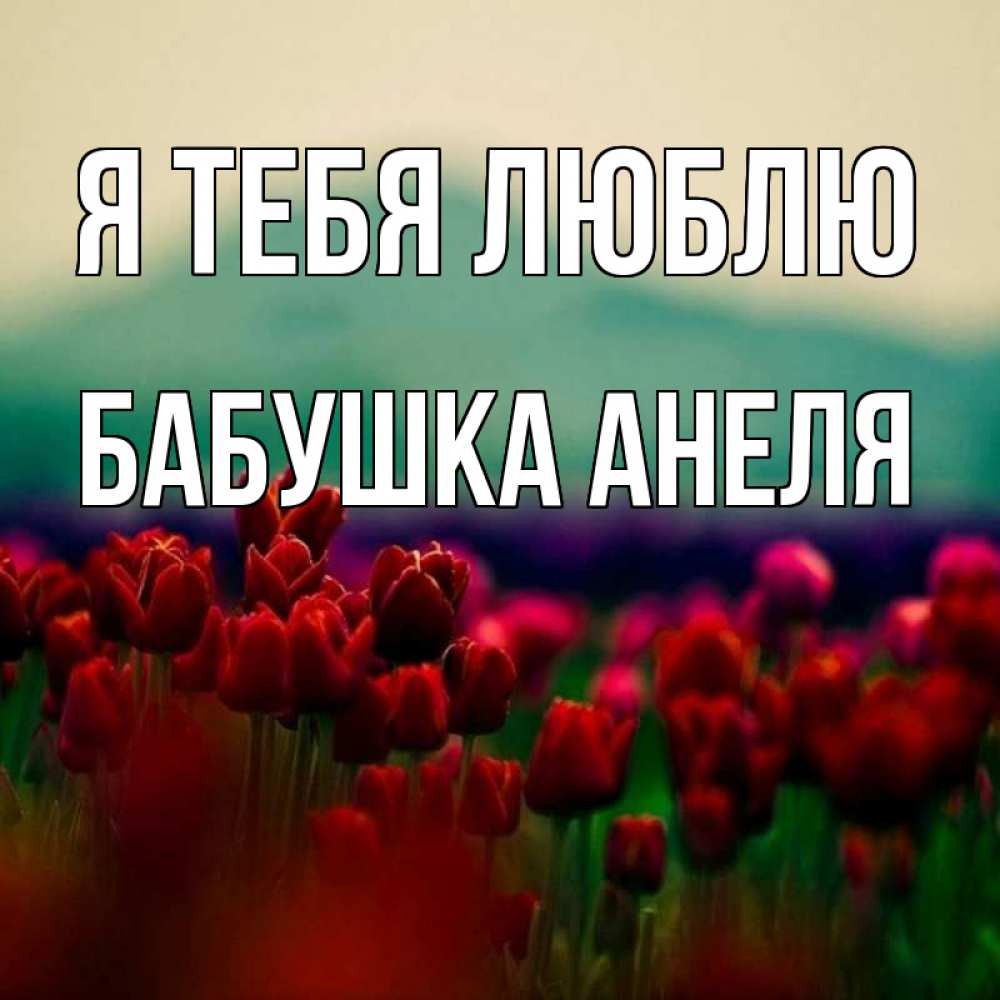 Открытка на каждый день с именем, Бабушка-Анеля Я тебя люблю тюльпаны 4 Прикольная открытка с пожеланием онлайн скачать бесплатно 