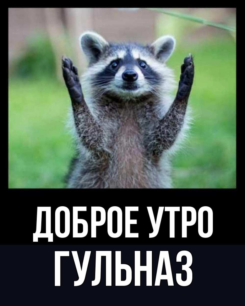 Открытка на каждый день с именем, Гульназ Доброе утро хорошее настроение утречком Прикольная открытка с пожеланием онлайн скачать бесплатно 