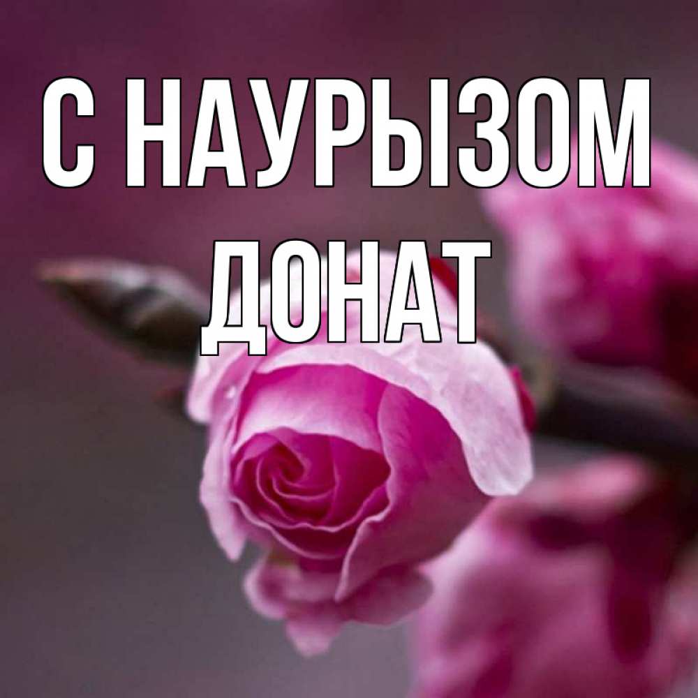 Открытка на каждый день с именем, Донат С наурызом весна Прикольная открытка с пожеланием онлайн скачать бесплатно 