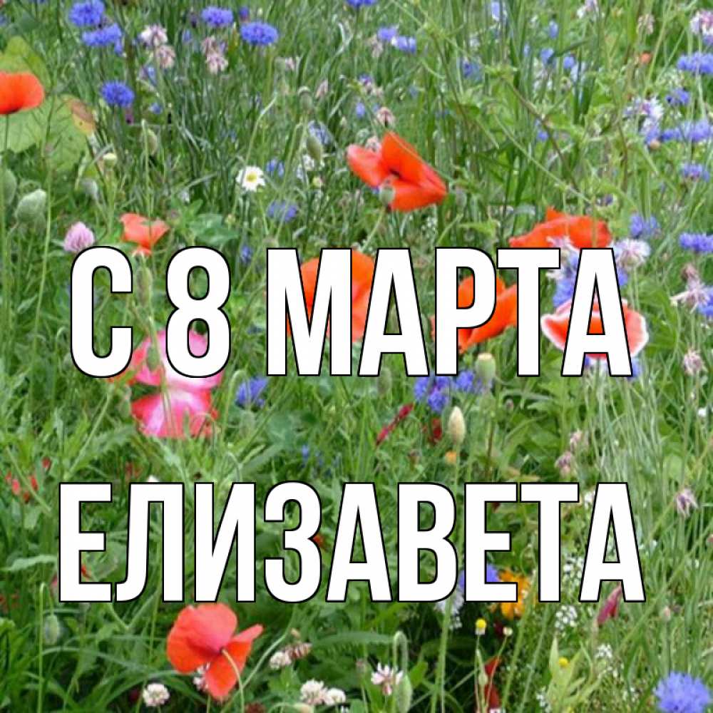 Открытка на каждый день с именем, Елизавета С 8 МАРТА международный женский день 4 Прикольная открытка с пожеланием онлайн скачать бесплатно 