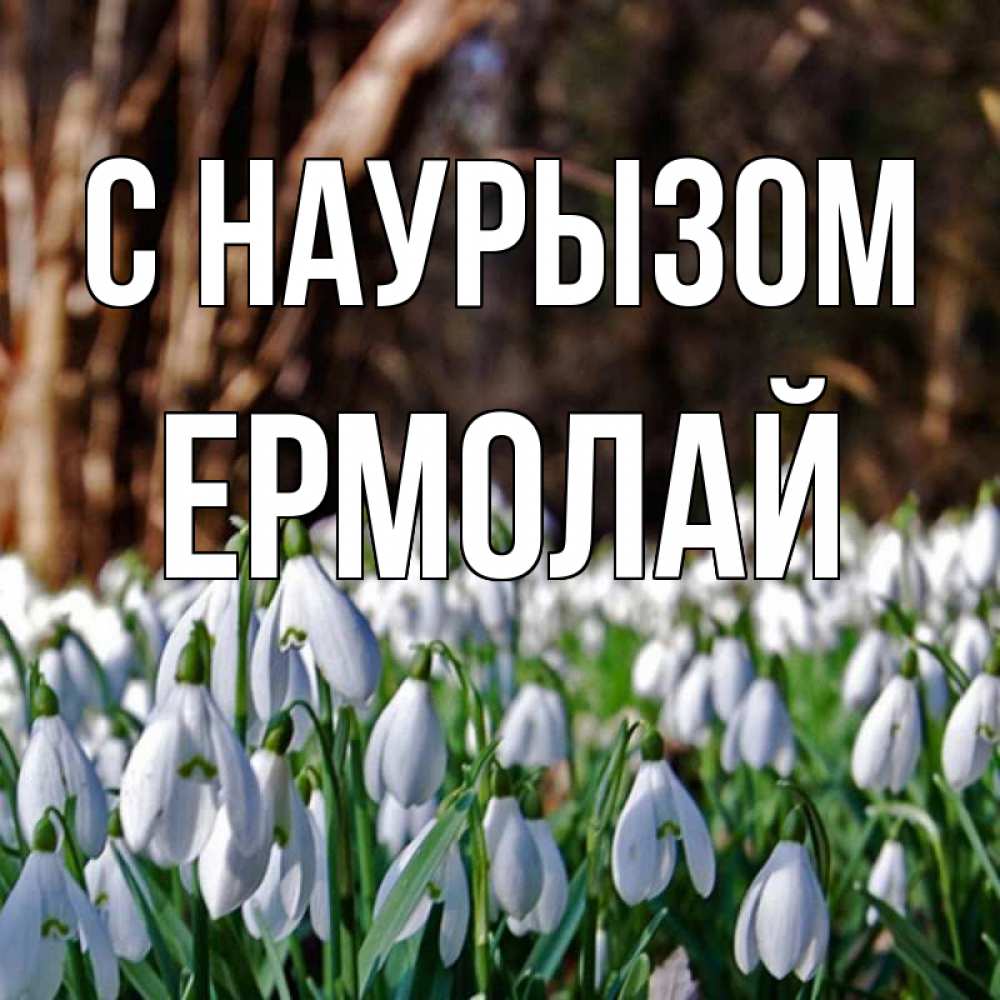 Открытка на каждый день с именем, Ермолай С наурызом с подснежниками 1 Прикольная открытка с пожеланием онлайн скачать бесплатно 